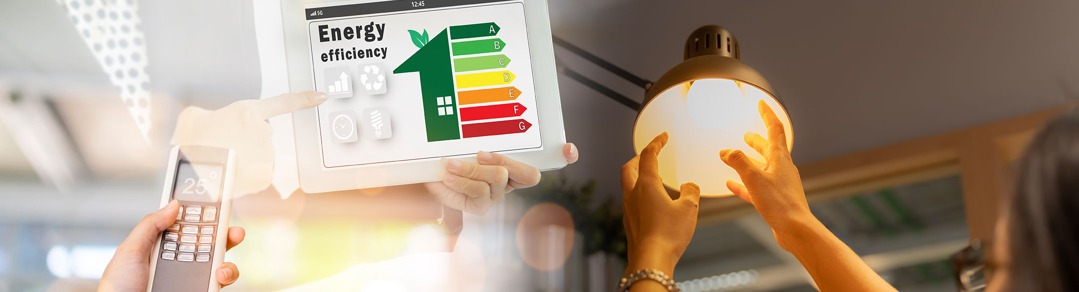 Energy Efficiency Taranaki